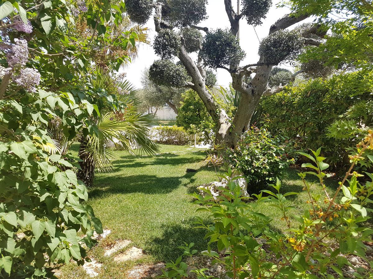 Villa Petra Chiara Locorotondo Luaran gambar